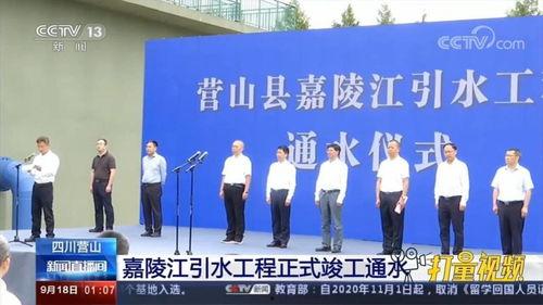 营山新闻网爆料电话,揭秘热线电话背后的故事  第3张