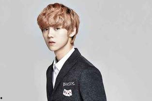 鹿晗伯贤家世爆料视频,豪门背景下的明星之路 第3张 鹿晗伯贤家世爆料视频,豪门背景下的明星之路 第3张